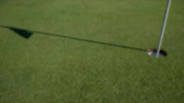 course_image